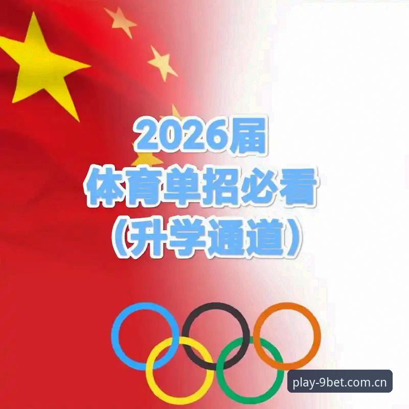 B投注平台最新版 9博体育平台2026新版上线,B投注平台最新版到底带来了什么?